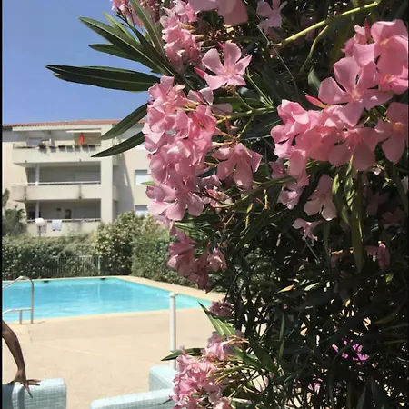 Le Cocon D'argent, Terrace And Pool Montpellier